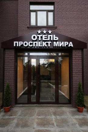 Hotel Prospekt Mira Balashikha